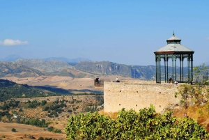 Privat dagsudflugt til Ronda og Malaga fra Sevilla