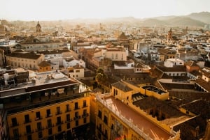 From Seville: Private excursion to Malaga with entrance fees to monuments