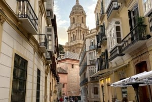From Seville: Private excursion to Malaga with entrance fees to monuments
