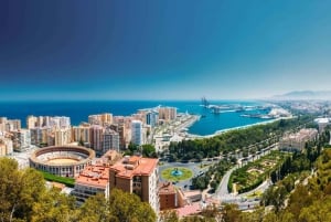 Privat omvisning i det essensielle Malaga
