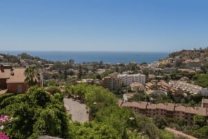 Privat omvisning i det essensielle Malaga