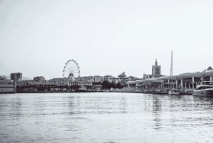 Privat omvisning i det essensielle Malaga