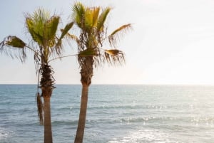 Privat rundtur i Mijas, Marbella och Puerto Banús