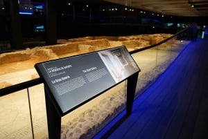 Private Tour to the Roman Villa of Antiopa in Malaga by Electric Car