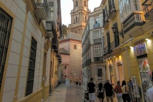 Tour a pie privado: Catedral, Alcazaba y Teatro Romano