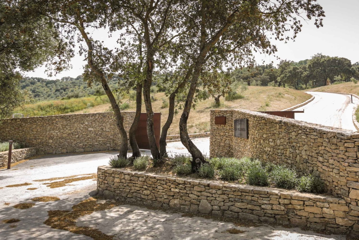 Tour privato della cantina e visita di Ronda