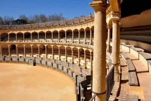 Från Malaga: Privat tur till vingård & Ronda med vinprovning