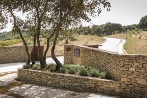 Från Malaga: Privat tur till vingård & Ronda med vinprovning