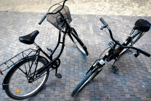 Mieten Sie ein Fahrrad in Málaga