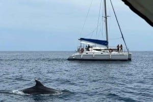Bootsverleih in Benalmádena