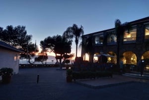 Romantic Night Tour of Málaga by Electric Car