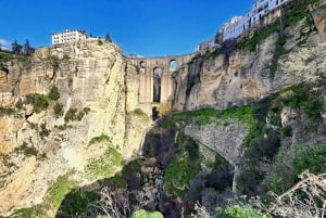 Ronda og Setenil de las Bodegas-tur Kun bus fra Málaga