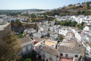 Ronda and Setenil Full Day