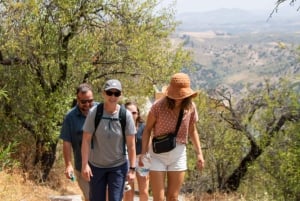 Ronda et les villages blancs : expérience d'une journée en petit groupe