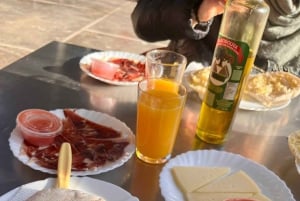 Ronda e Aldeias Brancas: Experiência de um dia em pequeno grupo