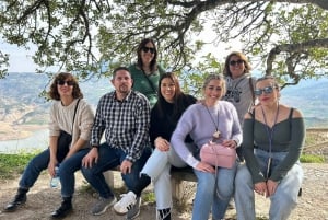 Ronda and White Villages: Small Group Day Trip Experience