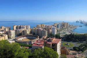 Ronda: excursie naar Málaga met rondleiding