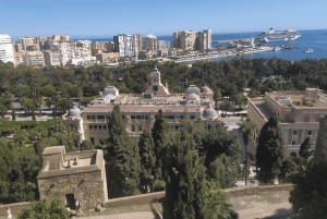 Ronda: excursie naar Málaga met rondleiding
