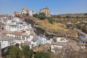 Ronda & Setenil de las Bodegas - Halvprivat