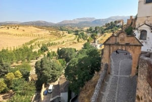 Ronda & Setenil de las Bodegas - Puoliyksityinen