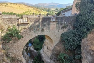 Ronda & Setenil de las Bodegas - Puoliyksityinen