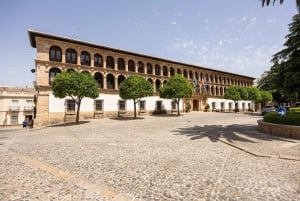 Ronda & Setenil de las Bodegas - Halvprivat