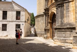 Ronda & Setenil de las Bodegas - Halvprivat