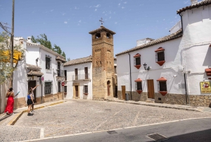 Ronda & Setenil de las Bodegas - Halvprivat