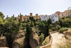 Ronda & Setenil de las Bodegas - Halvprivat