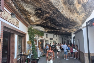 Ronda & Setenil de las Bodegas - Semiprivato