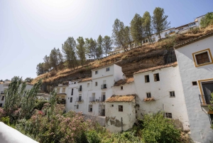 Ronda & Setenil de las Bodegas - Semiprivato