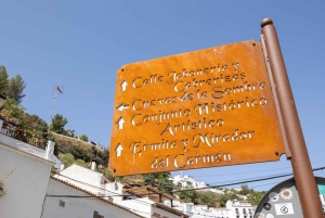 Ronda & Setenil de las Bodegas - Semiprivato