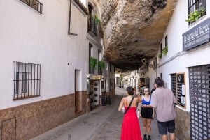 Ronda & Setenil de las Bodegas - Semiprivato