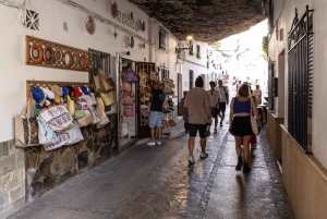 Ronda & Setenil de las Bodegas - Semiprivato