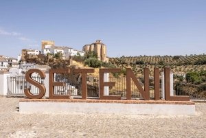 Ronda & Setenil de las Bodegas - Semiprivato