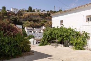 Ronda & Setenil de las Bodegas - Semiprivato