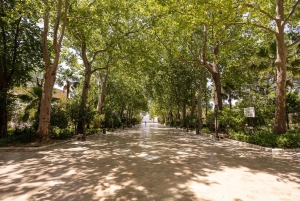 Ronda & Setenil de las Bodegas - Semiprivato