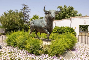 Ronda & Setenil de las Bodegas - Semiprivato