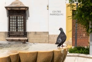 Ronda & Setenil de las Bodegas - Semiprivato