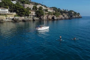 La Herradura: Sailing and Dolphin Watching Tour