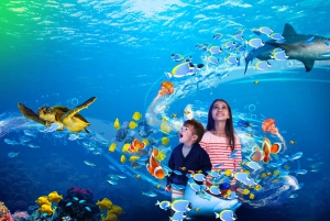 Benalmádena: Sea Life Benalmádena Premium Entry Ticket