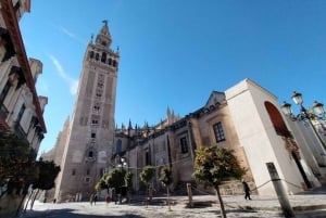 Privétour van een dag naar Sevilla vanuit Málaga