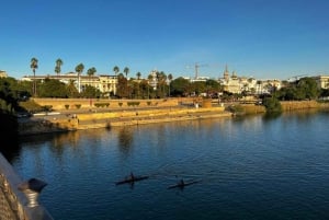 Privétour van een dag naar Sevilla vanuit Málaga