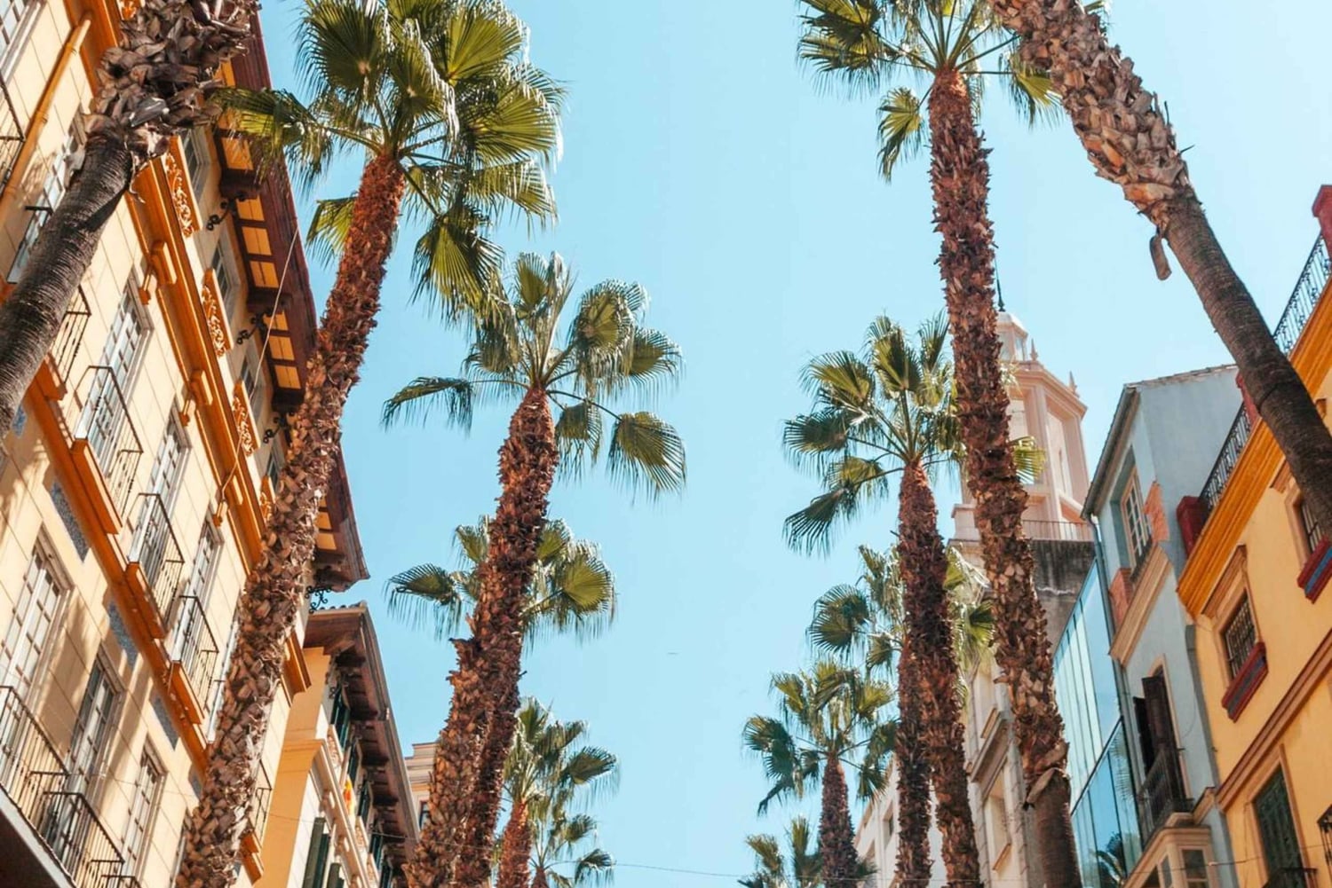 Visita Sevilha: Transfer para Málaga com visita a Ronda