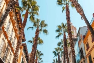 Visita Sevilha: Transfer para Málaga com visita a Ronda