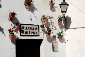 Visita Sevilha: Transfer para Málaga com visita a Ronda