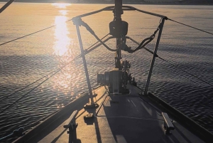 Sotogrande: boottocht met dolfijnen kijken met drankje