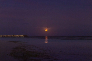 Sotogrande: Luna piena sul mare 2 ore