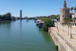 Spain Top Tour (Barcelona, Madrid, Valencia, Malaga,Sevilla)