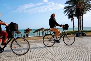 Guia de turismo padrão para bicicletas em Málaga Andaluzia, Espanha